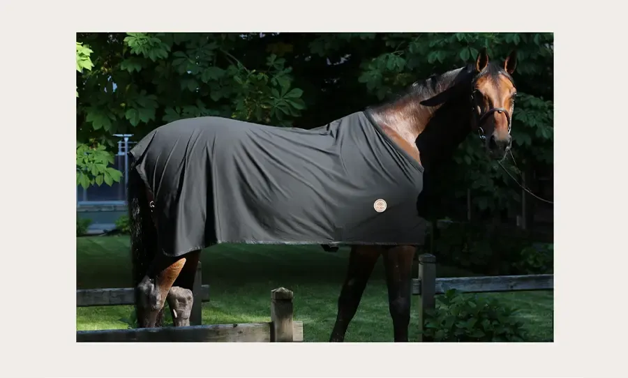 Couverture Tech'Rug